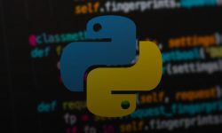 Python vs Other Programming Languages